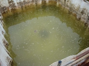 Água contaminada em assentamento de Corumbá, Mato Grosso do Sul (Foto: Divulgação/MPF)