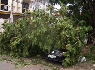 Carro cai sobre árvore em Nazaré (Foto: Reprodução/TV Bahia)