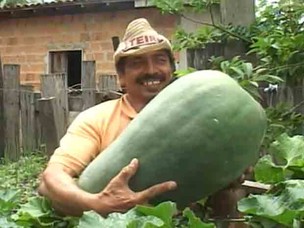 Pedreiro encontra pepino de 25 kg no quintal da casa no Pará (Reprodução/TV Liberal)