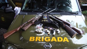 Cinco armas foram roubadas  (Foto: Divulgação/ Polícia Civil)