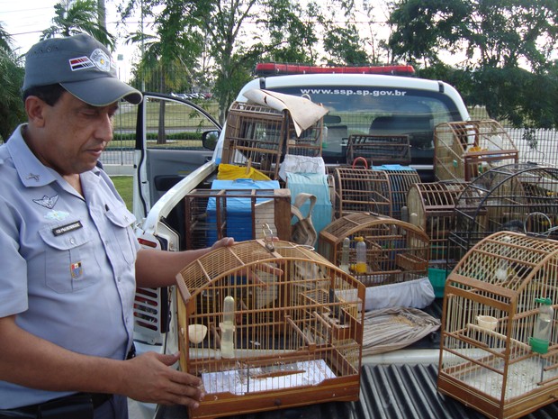 Policial mostra pássaros que serão entregues à zoológico do município (Foto: Adriane Souza/G1)