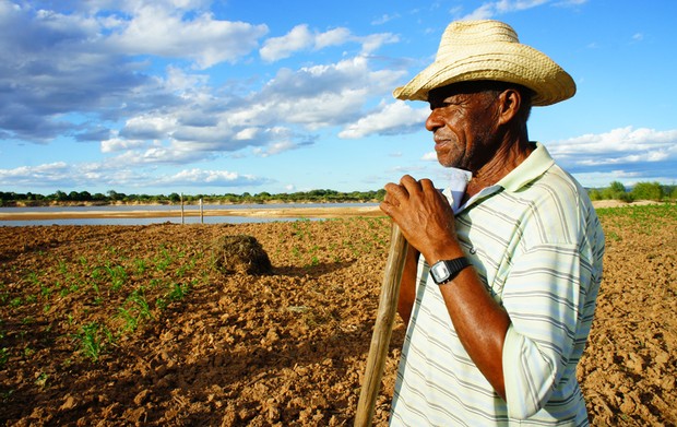 Agricultor Arnaldo tenta plantar feijão na lama da enchente de dezembro em Morpará (BA), às margens do Rio Paramirim (braço do Rio São Francisco) (Foto: Glauco Araújo/G1)