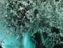 Fotógrafo americano captura espetáculo de cavernas geladas 