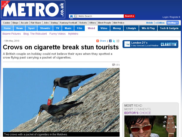 Aves roubaram pacote de cigarros de turistas 