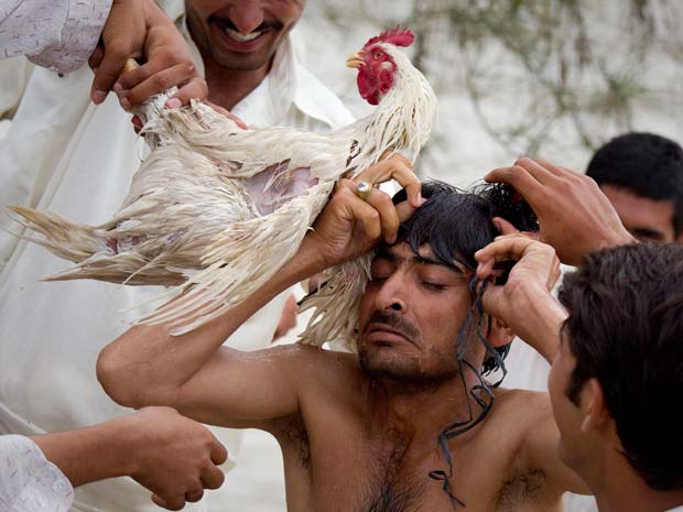 Paquistaneses ajudam a desamarrar galinha de pescoço de resgatado das enchentes no país. O homem amarrou a ave para poder tirá-la nadando de área inundada