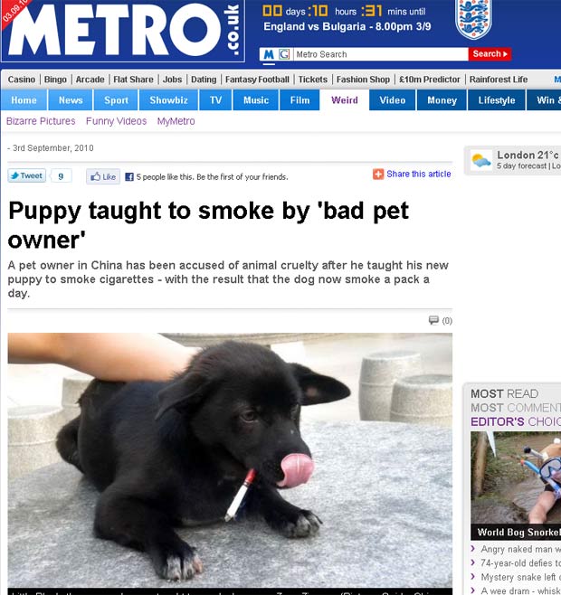 Chinês ensinou seu cão de estimação a fumar.