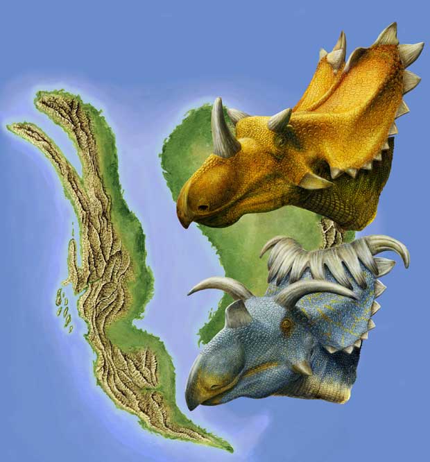 Concepção artística do Utahceratops gettyi e do Kosmoceratops richardsoni