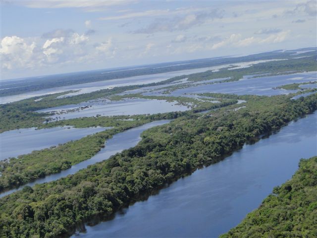 Vista aérea do arquipélago de Anavilhanas, no Rio Negro (Foto: Rede Globo)