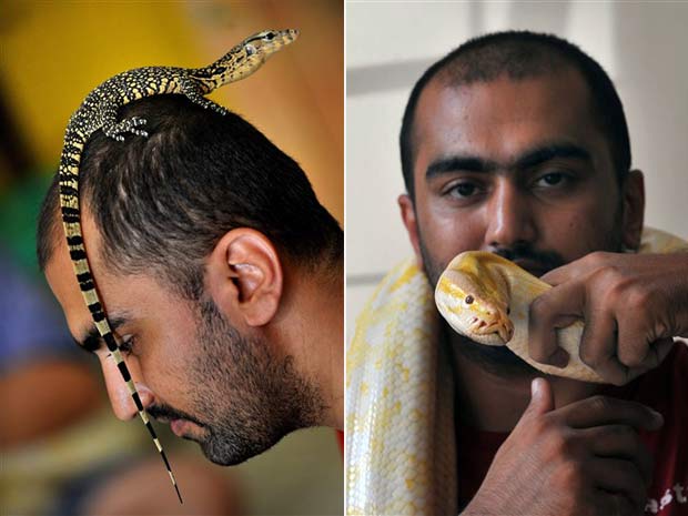 Karn Singh mantém diversos animais em sua casa em Tanggerang, na Indonésia. Ele conta um lagarto-monitor, uma píton albina e cobras venenosas.