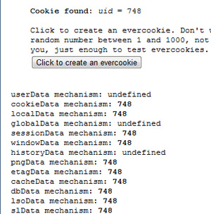 Evercookie usa 13 maneiras para armazenar a informação no computador. Na foto, identificador 748 foi armazenado em 10 locais com sucesso.