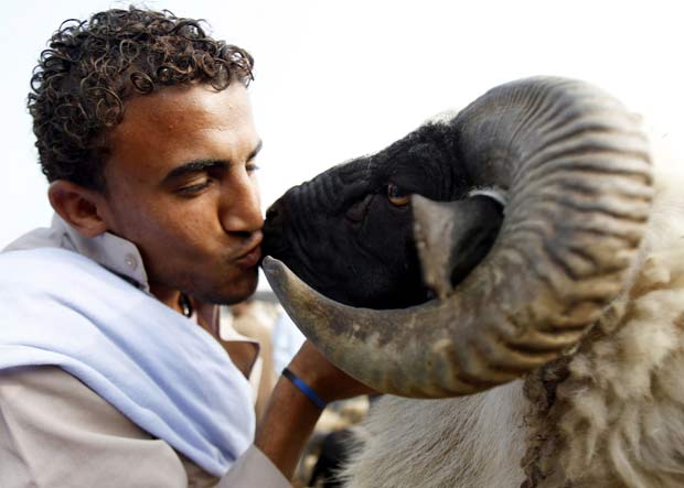 Homem beija carneiro após comprá-lo em um mercado em Gizé, nos arredores do Cairo, no Egito. 