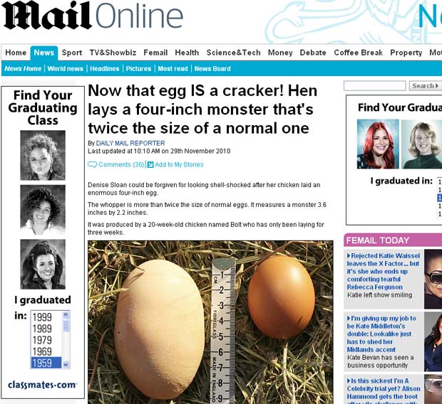 Galinha botou ovo de quase 10 centímetros.