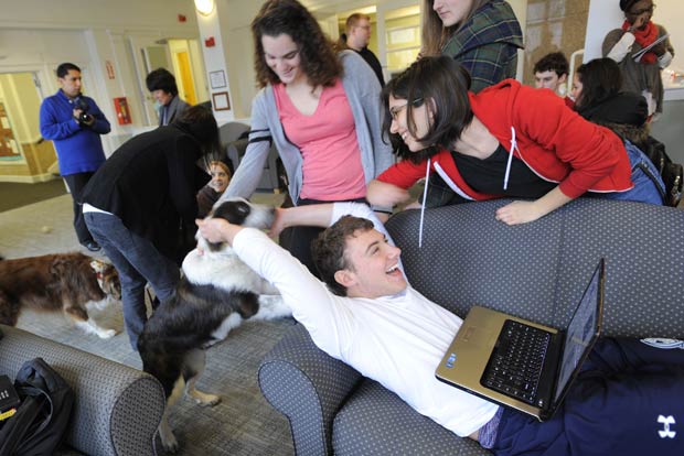 Quatro cães interagiram com os alunos no campus da universidade de Tufts.