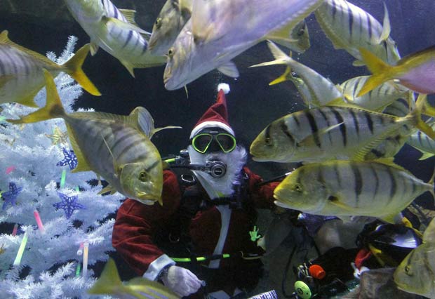 Mergulhador vestido de Papai Noel alimenta peixes dentro de um aquário no Sea Life, em Oberhausen, na Alemanha, no dia 16 de dezembro.