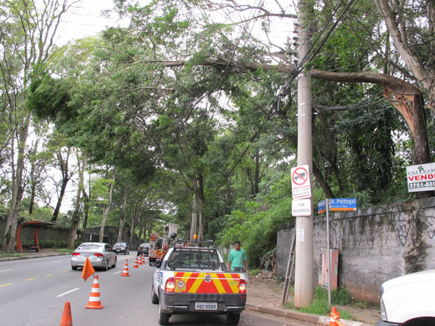 Árvore caiu sobre fiação e deixou trecho do bairro Morumbi 
sem energia elétrica na tarde desta segunda-feira (27)