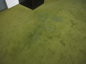 Goteiras deixaram carpete molhado