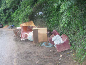 Situação da beira de uma estrada em Petrópolis