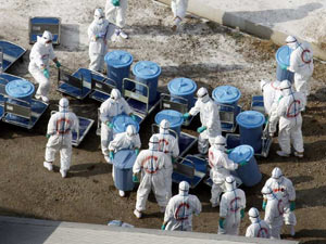 Agentes de saúde no Japão preparam recipientes para abrigar aves contaminadas.