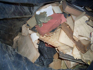 Documentos são achados em sacos de lixo (Foto: Divulgação/ Tércio Gaudêncio)