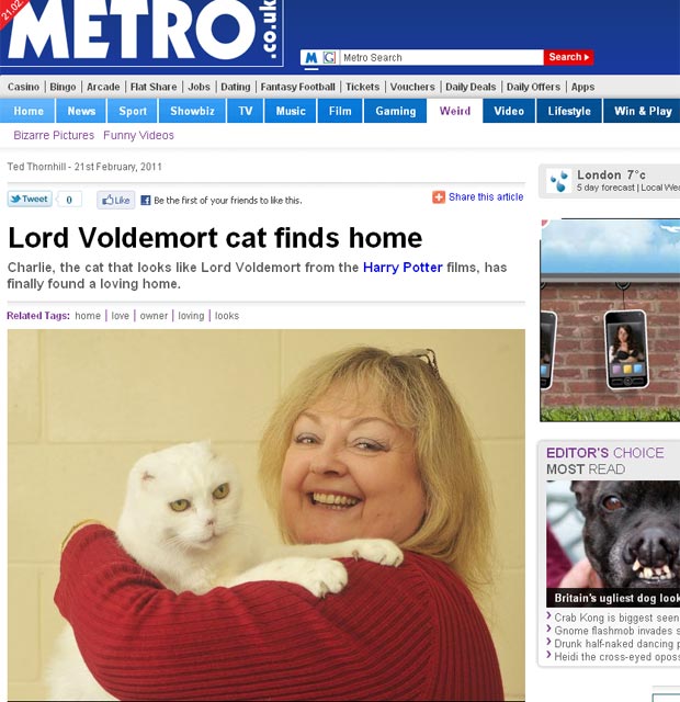 Gato 'Charlie' foi adotado pela britânica Sarah Gaden. (Foto: Reprodução/Metro)