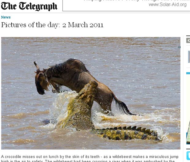 Fnu conseguiu escapar do ataque do crocodilo. (Foto: Reprodução/Daily Telegraph)