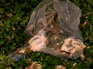 Bebê foi encontrado em saco plástico, em Ananindeua (PA) (Foto: Reprodução/TV Liberal)