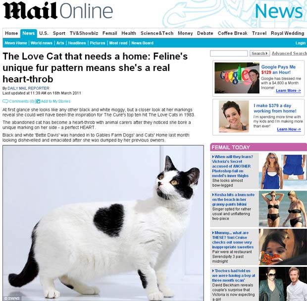 Gata tem uma mancha em forma de coração no pelo. (Foto: Reprodução/Daily Mail)