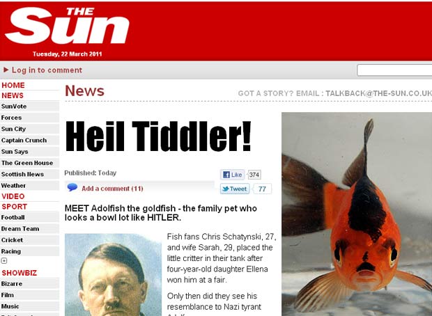 Peixe tem uma marca acima da boca que lembra o bigodinho do nazista Adolf Hitler. (Foto: Reprodução/The Sun)
