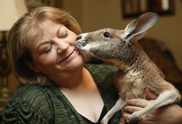 Christie Carr com seu canguru chamado 'Irwin'. (Foto: Sue Ogrocki/AP)