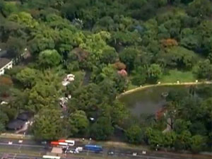 Vista área do Parque Municipal, no centro de Belo Horizonte.  (Foto: Reproduação/TV Globo Minas)