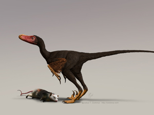 Dinossauro bambiráptor desenhado com as cores do urubu de cabeça vermelha (Foto: Cortesia de Julius Csotonyi)