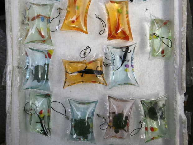 Peixes, tartarugas e salamandras vivos são vendidos em saquinhos plásticos como chaveiros. (Foto: AP)