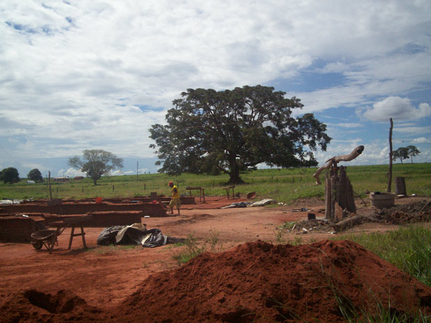 Fiscalização interditou quatro olarias em Goiás (Foto: Divulgação/Ministério Público do Trabalho)