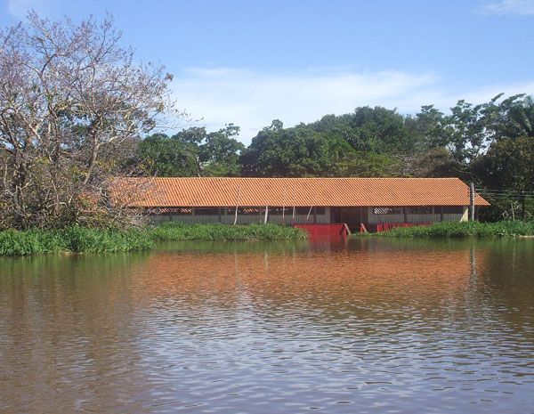 escola santarém  (Foto: Núbia Maria Ferreira Malcher/ Divulgação)