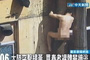 Homem nu é flagrado tentando fugir de bordel na China (Reprodução)