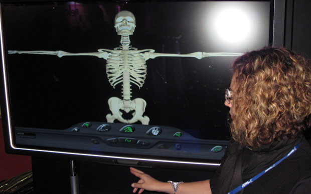 Programa permite observar esqueleto humano em três dimensões (Foto: Maria Angélica Oliveira/G1)