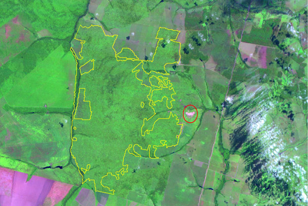 Imagem do Inpe mostra, marcada com linha amarela, o alerta de desmatamento na Terra Indígena Maraiwatsede. O círculo vermelho, acrescentado pelo Globo Natureza, indica a localização da aldeia xavante. (Foto: Inpe)