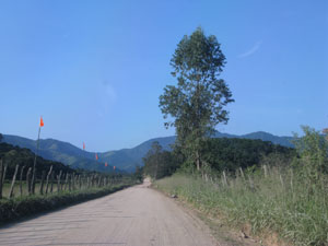 Estrada que leva aos sítios de produtores rurais em Espraiados, Maricá (Foto: Aluizio Freire)