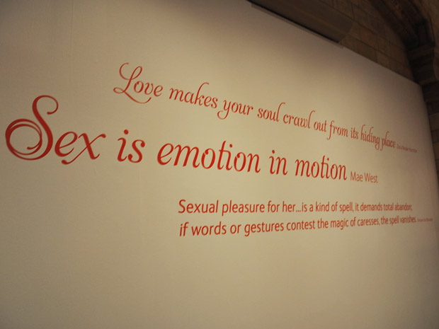 Exposição sobre o sexo na natureza fica em cartaz até o dia 2 de outubro no Museu de História Natural de Londres (Foto: Fernanda Calgaro/G1)