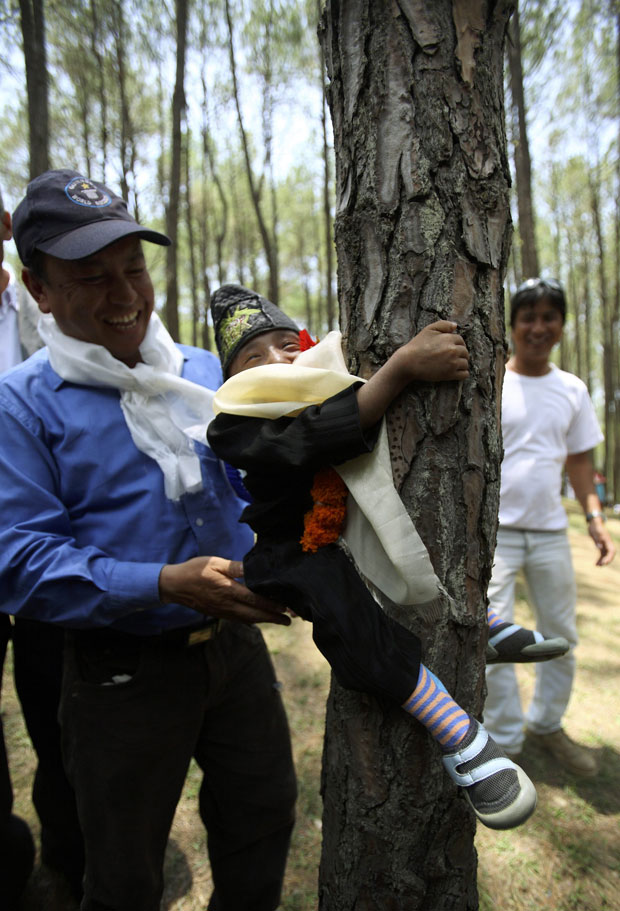 Khagendra Thapa Magar, menor homem do mundo, recebeu uma ajudinha para abraçar sua árvore (Foto: Reuters)