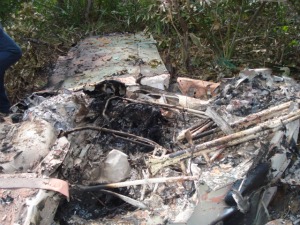 Avião cai e pega fogo no Pantanal em Corumbá (Foto: Polícia Civil/Corumbá)