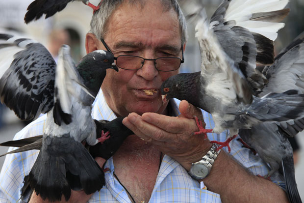 Um homem foi flagrado na terça-feira (14) usando a própria boca para dar pedaços de pão para pombos na Praça de Syntagma, em Atenas, na Grécia. (Foto: Reuters)