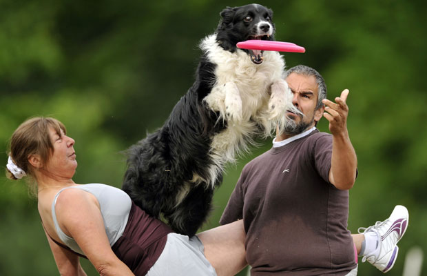Em competições assim, cachorros e humanos competem juntos em diversas categorias (Foto: Bela Szandelszky/AP)