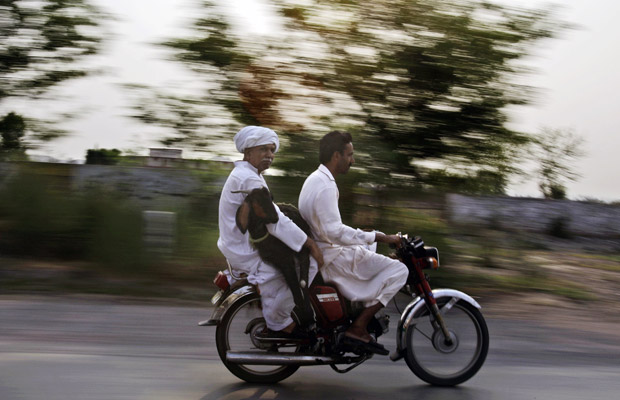  Paquistanês segura bode na garupa de moto na periferia de Lahore, no Paquistão, nesta quarta-feira (22). O flagrante foi feito pelo fotógrafo Muhammed Muheisen (Foto: AP)