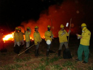 Brigadistas do Ibama para combate de incêndios florestais - Mato Grosso do Sul (Foto: Divulgação/Ibama-MS)