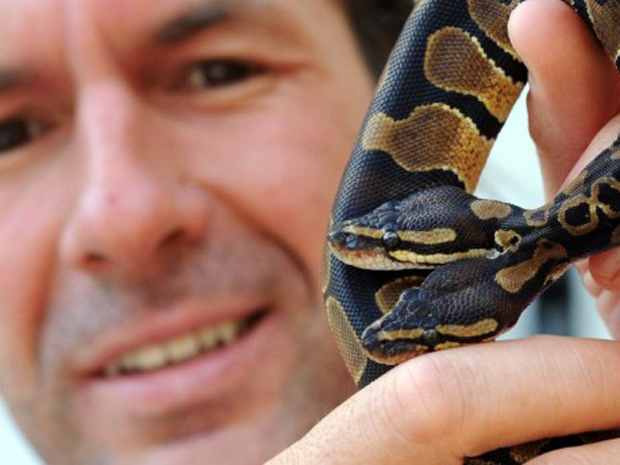 Criador de cobras Stevan exibe o réptil com duas cabeças. (Foto: Patrick Seeger / AFP Photo)