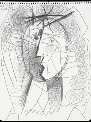 O desenho Cabeza de Mujer de Pablo Picasso (Foto: AP/Weinstein Gallery)