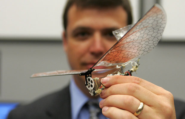 O laboratório de pesquisa tem como missão desenvolver pequenos robôs voadores que podem localizar e encontrar alvos em ambientes complexos. Os testes são realizados dentro de um ambiente fechado onde é possível recolher dados para analisar o desenvolvimento dos aparelhos. (Foto: Skip Peterson/Reuters)