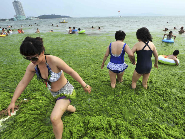 Banhistas nadam entre algas em praia de Qingdao, na província chinesa de Shandong (Foto: China Daily/Reuters)