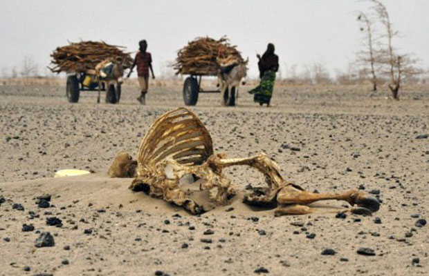 Moradores caminham perto de animais mortos em Athibohol, noroeste de nairóbi, no Quênia (Foto: Simon Maina/AFP)